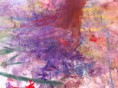 /album/galleria/immagine-010-jpg/